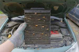Meineke Car Care | Cabin Air Filter | Madison AL